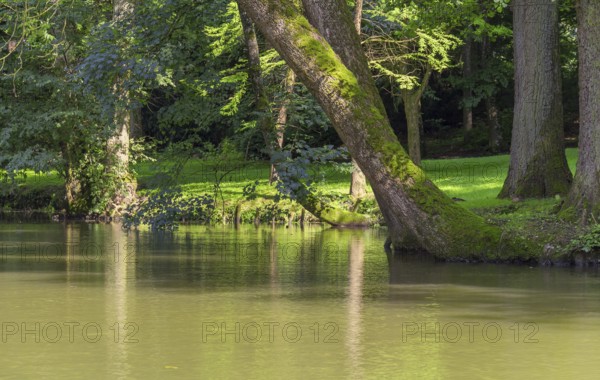 Peaceful sunny park scenery with idyllic small lake at summer time