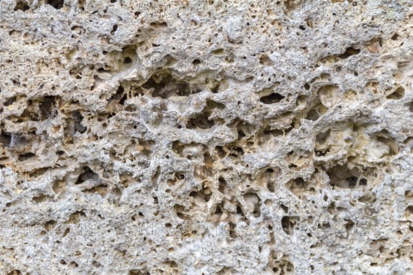 Full frame abstract porous stone detail