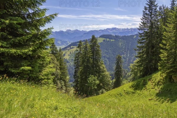 Idyllic scenery around the Immenstaedter Horn, a mountain in the Upper Allgaeu in Bavaria, Germany