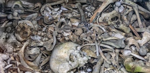 Lots of human bones from fallen soldiers seen at the Douaumont Ossuary, a memorial located near Verdun in France