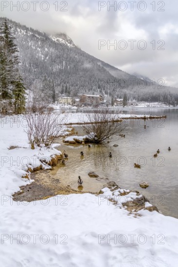 Lake named Hintersee in Bavaria at winter time