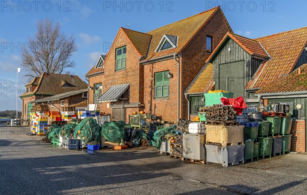 Scenery around Maasholm, a municipality in Schleswig-Holstein, Northern Germany