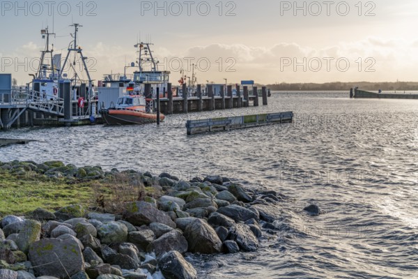Scenery around Maasholm, a municipality in Schleswig-Holstein, Northern Germany