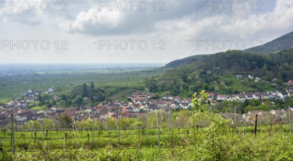 Scenery around Sankt Martin, a municipality in the Southern Wine Route area in Rhineland-Palatinate in Germany