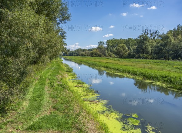 Scenery at the Einserkanal near the famous Bridge at Andau at the border between Austria and Hungary