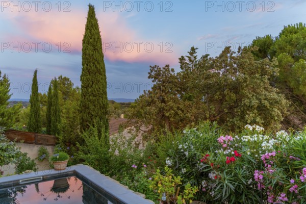 Idyllic scenery including a small swimming pool seen in Beaumes-de-Venise, a commune in the Vaucluse department in the Provence region in southeastern France at evening time