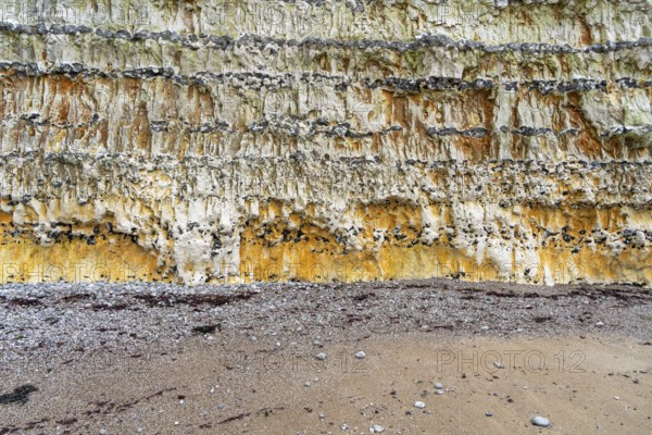 Chalk cliff closeup seen near Fecamp, a commune in the department of Seine-Maritime at the Normandy region in northwestern France