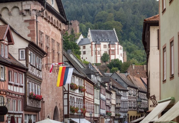 City view of Miltenberg, a town in Lower Franconia, Bavaria, Germany