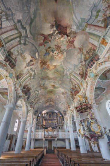 Church of St Gallus and Ulrich, nave with organ loft and ceiling frescoes, Kisslegg, Allgäu, Baden-Württemberg, Germany
