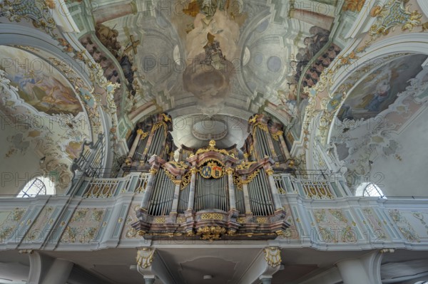 Church of St Gallus and Ulrich, the organ loft with ceiling frescoes, Kisslegg, Allgäu, Baden-Württemberg, Germany