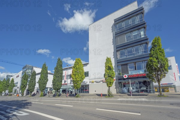Blue sky over the Forum Allgäu with columnar oaks (Quercus robur Fastigiata), Bahnhofstraße, Kempten, Allgäu, Swabia, Germany