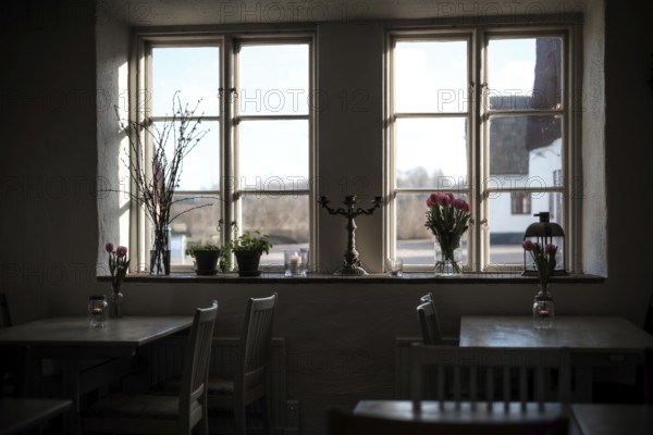 Dimly lit cozy interior with tulips and plants by a window, creating a warm atmosphere in Helsingborg, Sweden, Scandinavia