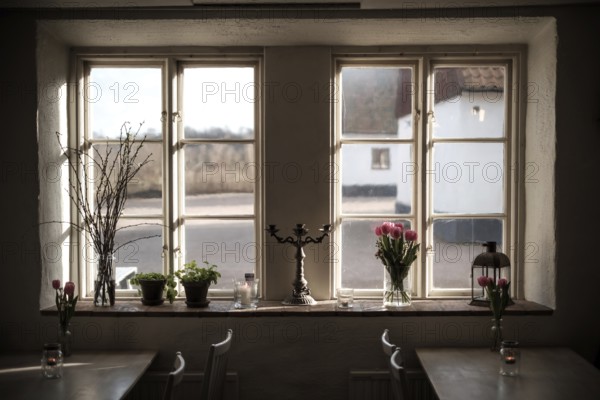 A window with indoor plants and a candlestick, reflecting warm sunlight and cozy interior in Helsingborg, Sweden, Scandinavia