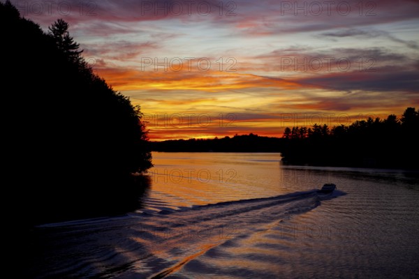 A boat creates ripples in a lake at sunset, with vibrant colors and silhouetted trees in Muskoka, Ontario, Canada, North America