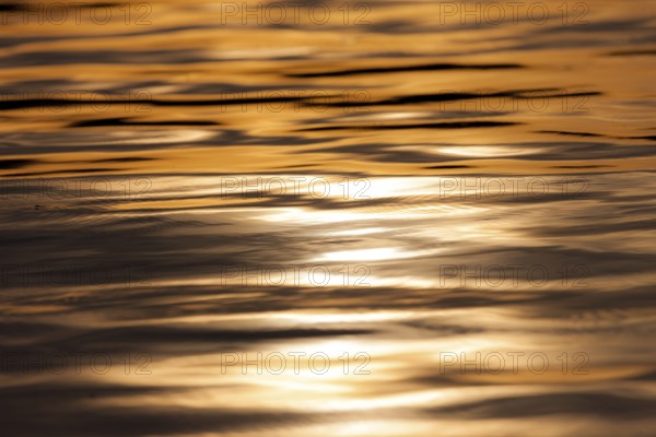 A tranquil scene of golden sunset reflections on water, with gentle ripples creating calm in Muskoka, Ontario, Canada, North America