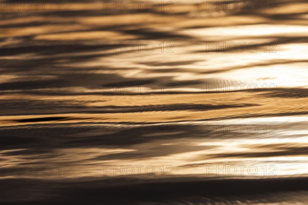 Evening light casts a golden glow over the water's surface, highlighting gentle ripples in Muskoka, Ontario, Canada, North America