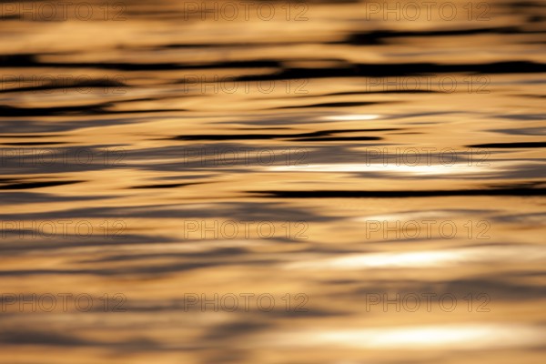 Calm water with ripples reflecting a warm orange sunset, creating a peaceful atmosphere in Muskoka, Ontario, Canada, North America