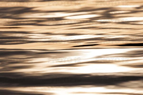 Golden light reflects on water, creating a serene ripple pattern as the sun sets in Muskoka, Ontario, Canada, North America
