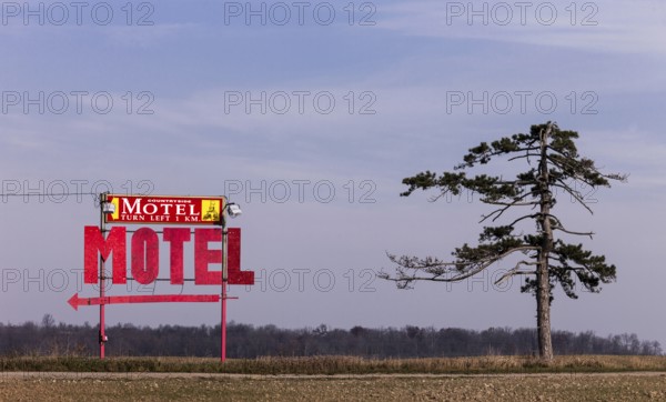 A motel sign and lone tree stand against the sky near Strathroy, Ontario, Canada, North America