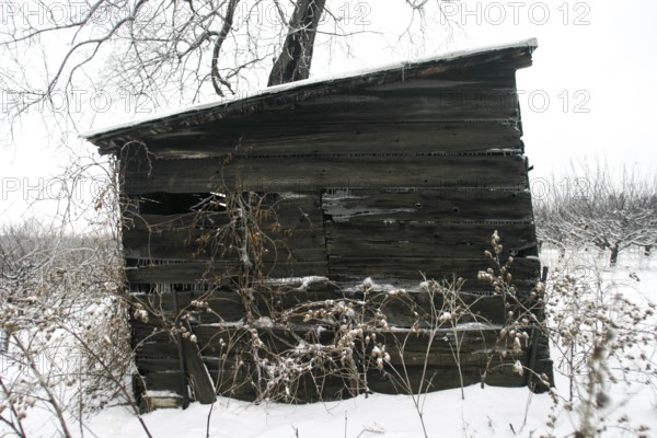 Old wooden cabin surrounded by snow and bare branches evokes desolation in London, Ontario, Canada, North America