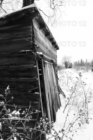 Old wooden cabin leans in snow, amidst a barren winter landscape in London, Ontario, Canada, North America