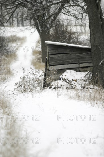 A wooden shack next to a snow-covered path, flanked by trees in London, Ontario, Canada, North America