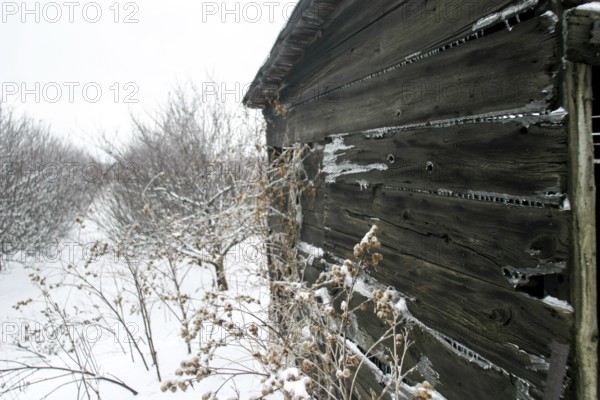 Wooden shack in a snowy, rural landscape, evoking isolation and decay in London, Ontario, Canada, North America