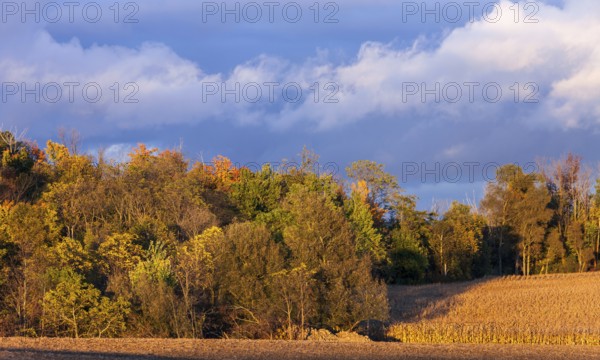 Colorful autumn trees under a dramatic cloudy sky in St. Thomas, Ontario, Canada, North America