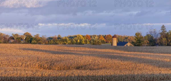 Golden fields stretch towards a distant silo in autumn in St. Thomas, Ontario, Canada, North America