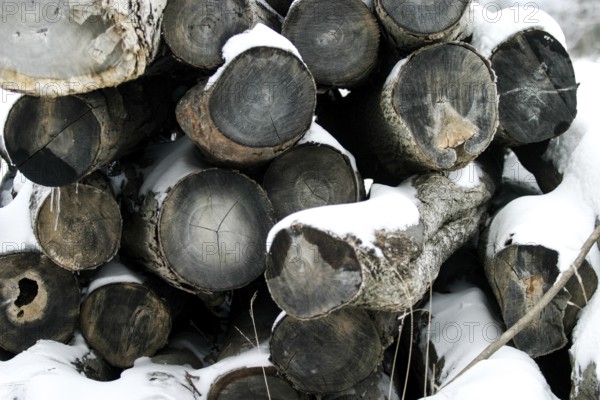Stacked logs covered with snow in a wintry setting in London, Ontario, Canada, North America