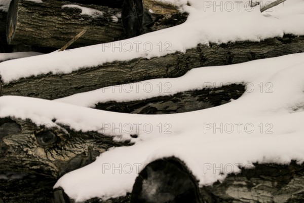 Snow-covered logs lie piled in a winter scene in London, Ontario, Canada, North America