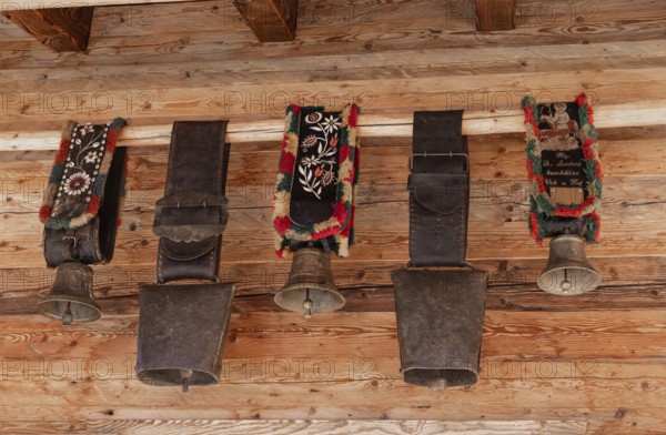 Cow, cowbells and bells, traditional bells, mountain pasture, cultural heritage