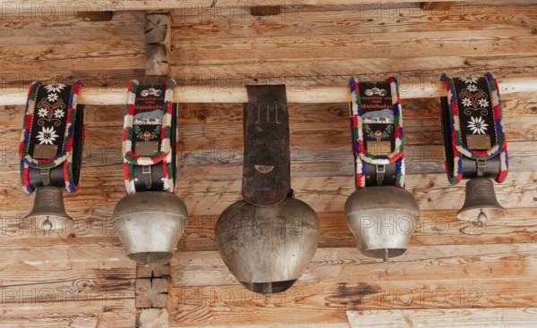 Cow, cowbells and bells, traditional bells, mountain pasture, cultural heritage
