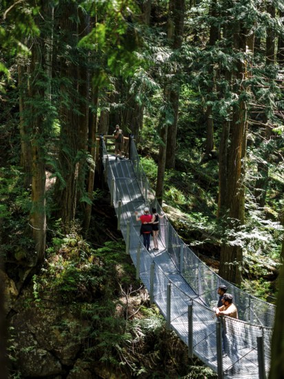People crossing a suspension bridge in a forest inside Cascade Falls Regional Park, Deroche, British Columbia, Canada, North America