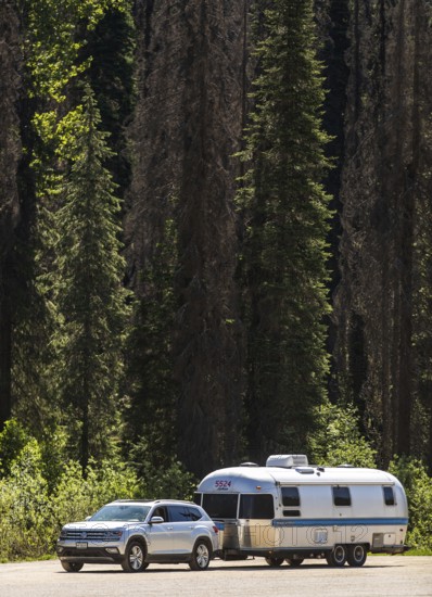 An Airstream travel trailer parked with a car by a dense forest, highlighting travel adventure in side Glacier National Park, near Selkirk, British Columbia, Canada, North America. RV parked with a car by a dense forest, highlighting travel adventure