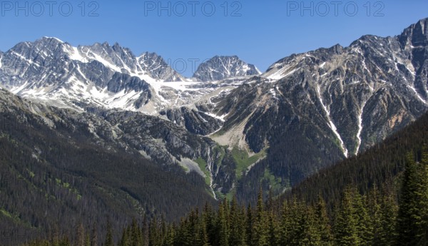 Snow-covered mountain peaks with dense forest in the foreground in Glacier National Park, near Selkirk, British Columbia, Canada, North America