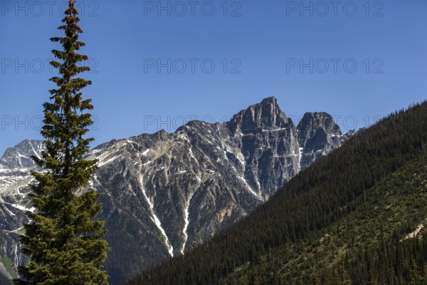 Mountain peaks with patches of snow rising above a rich evergreen forest as viewed along the Trans Canada Highway in British Columbia, Canada, North America