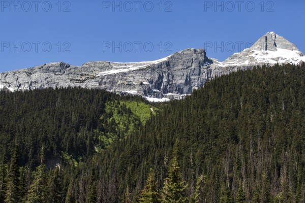Prominent mountain peaks with snow and dense forest below near Selkirk, British Columbia, Canada, North America