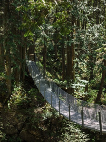 Narrow suspension bridge through dense forest inside Cascade Falls Regional Park, Deroche, British Columbia, Canada, North America