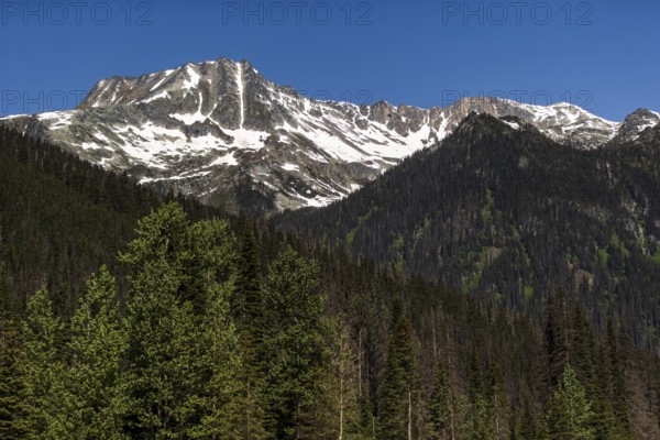 Mountain view with partial snow coverage and lush green foreground near Selkirk, British Columbia, Canada, North America