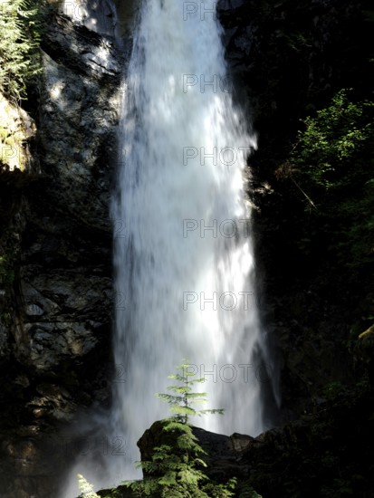 Towering waterfall surrounded by forest scenery inside Cascade Falls Regional Park, Deroche, British Columbia, Canada, North America