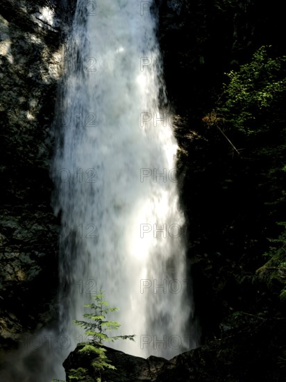Flowing waterfall with trees and rocks in forest inside Cascade Falls Regional Park, Deroche, British Columbia, Canada, North America