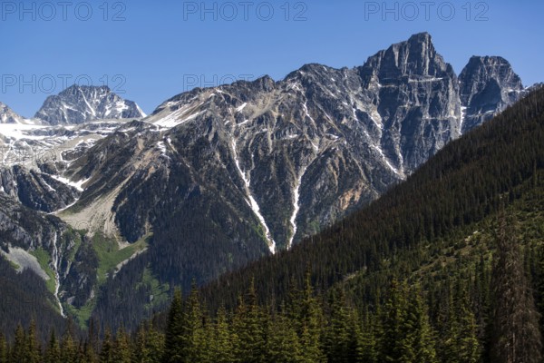 Mountain range with snow-covered peaks and vast forest under a clear sky as viewed along the Trans Canada Highway in British Columbia, Canada, North America