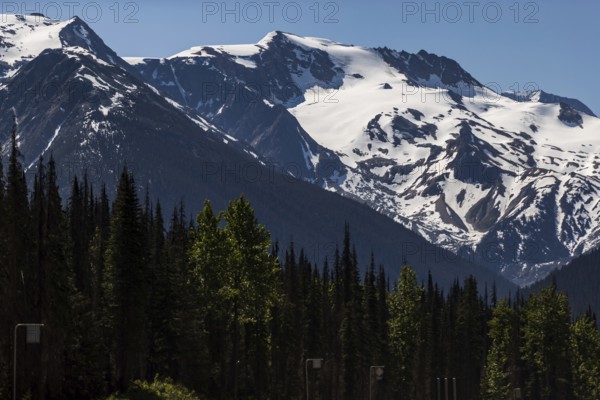 Expansive glacier amid mountains, bordered by forested area under blue sky as viewed along the Trans Canada Highway in British Columbia, Canada, North America