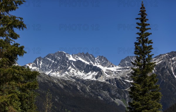 Snowy mountain peaks surrounded by a lush forest under clear skies as viewed along the Trans Canada Highway in British Columbia, Canada, North America
