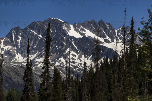 Sharp peaks of a mountain range with snow amid a vast forest near Revelstoke, British Columbia, Canada, North America