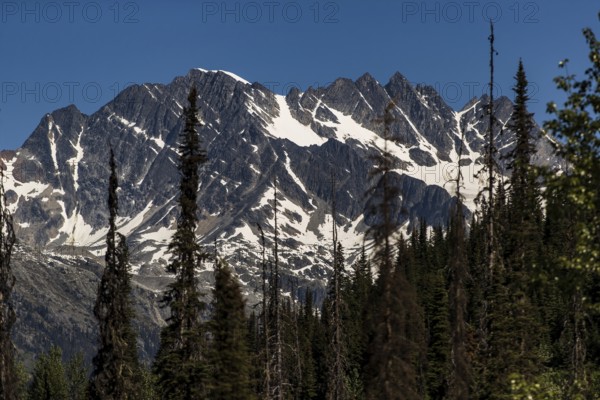 Jagged mountain range with patches of snow above a dense forest near Revelstoke, British Columbia, Canada, North America