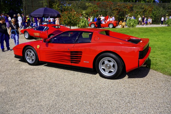 Ferrari Testarossa, Year 1987, Classic Vintage Car, Gala International Concours d'Elegance Schwetzingen 2025, Germany, Europe, Red Ferrari Testarossa at an outdoor car show, surrounded by visitors and nature