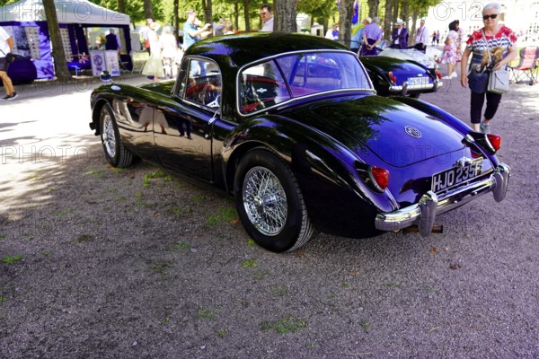 Oldtimer Classic, Gala International Concours d'Elegance Schwetzingen 2025, Germany, Europe, A black vintage MG stands under trees in a park exhibition