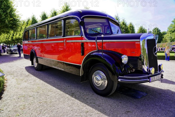 MERCEDES-BENZ 3500, built in 1950, retro bus in a sunny park with trees, Oldtimer Classic, Gala International Concours d'Elegance Schwetzingen 2025, Germany